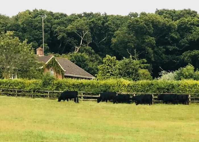 Yellowham Farm, Dorchester