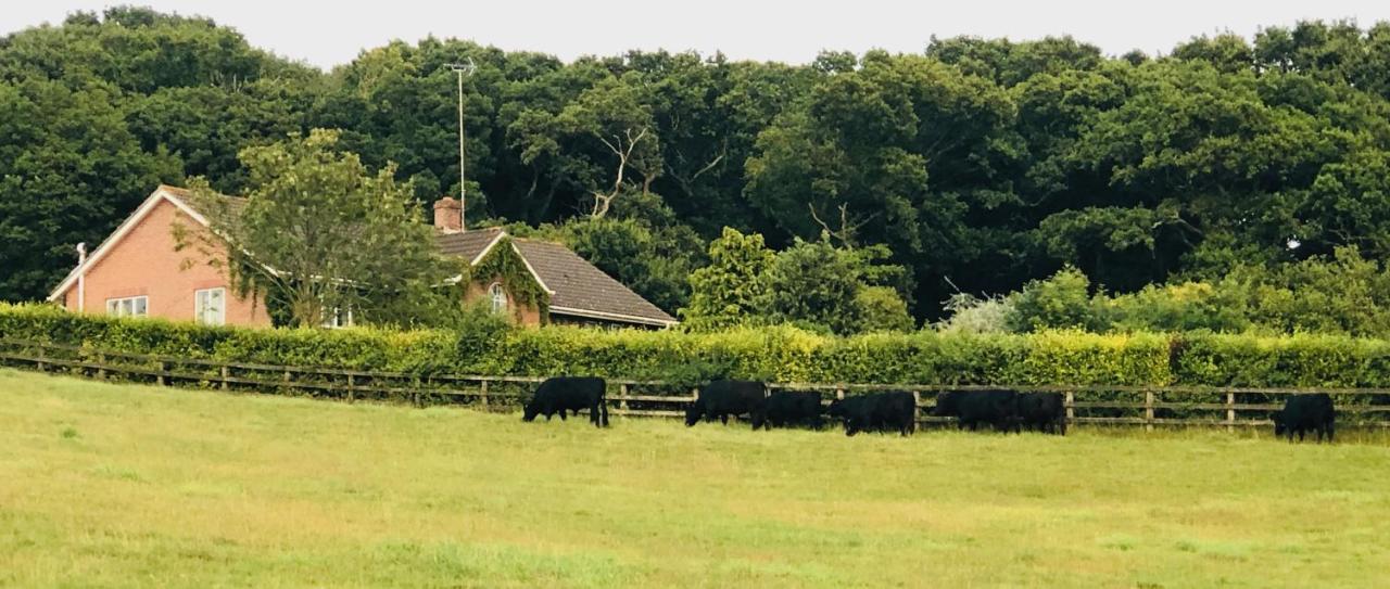 Yellowham Farm, Dorchester * Higher Bockhampton