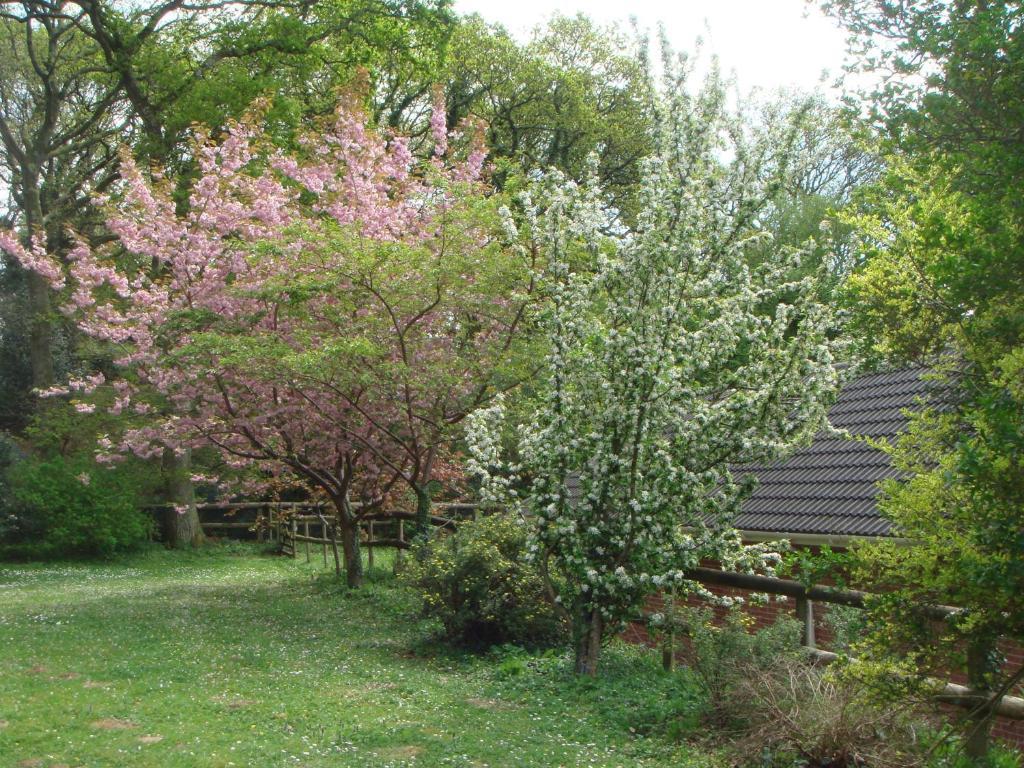 Yellowham Farm, Dorchester Landhaus Higher Bockhampton