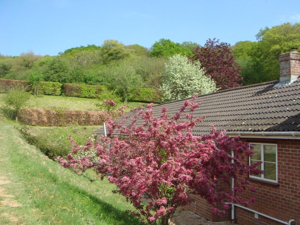 Yellowham Farm, Dorchester Higher Bockhampton